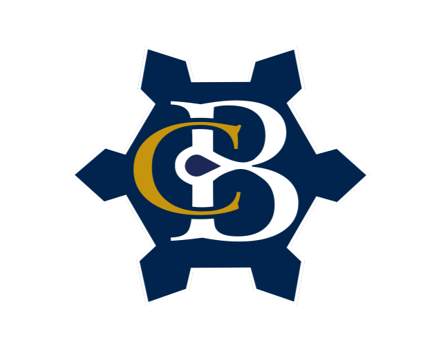 Bastions Business Consultants